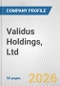 Validus Holdings, Ltd. Fundamental Company Report Including Financial, SWOT, Competitors and Industry Analysis - Product Thumbnail Image
