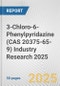 3-Chloro-6-Phenylpyridazine (CAS 20375-65-9) Industry Research 2025: Global and Regional Market Trends 2019-2024 and Forecast to 2029 - Product Thumbnail Image