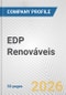 EDP Renováveis Fundamental Company Report Including Financial, SWOT, Competitors and Industry Analysis - Product Thumbnail Image