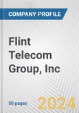 Flint Telecom Group, Inc. Fundamental Company Report Including Financial, SWOT, Competitors and Industry Analysis- Product Image