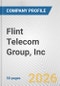 Flint Telecom Group, Inc. Fundamental Company Report Including Financial, SWOT, Competitors and Industry Analysis - Product Thumbnail Image