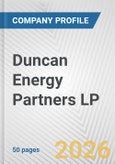 Duncan Energy Partners LP Fundamental Company Report Including Financial, SWOT, Competitors and Industry Analysis- Product Image