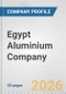 Egypt Aluminium Company Fundamental Company Report Including Financial, SWOT, Competitors and Industry Analysis - Product Thumbnail Image