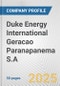 Duke Energy International Geracao Paranapanema S.A. Fundamental Company Report Including Financial, SWOT, Competitors and Industry Analysis - Product Thumbnail Image