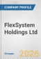 FlexSystem Holdings Ltd. Fundamental Company Report Including Financial, SWOT, Competitors and Industry Analysis - Product Thumbnail Image