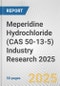 Meperidine Hydrochloride (CAS 50-13-5) Industry Research 2025: Global and Regional Market Trends 2019-2024 and Forecast to 2029 - Product Thumbnail Image