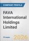 FAVA International Holdings Limited Fundamental Company Report Including Financial, SWOT, Competitors and Industry Analysis - Product Thumbnail Image