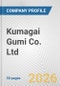 Kumagai Gumi Co. Ltd. Fundamental Company Report Including Financial, SWOT, Competitors and Industry Analysis - Product Thumbnail Image