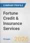 Fortune Credit & Insurance Services Fundamental Company Report Including Financial, SWOT, Competitors and Industry Analysis - Product Thumbnail Image