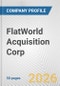 FlatWorld Acquisition Corp. Fundamental Company Report Including Financial, SWOT, Competitors and Industry Analysis - Product Thumbnail Image