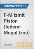 F-M Izmit Piston (federal-Mogul Izmi) Fundamental Company Report Including Financial, SWOT, Competitors and Industry Analysis- Product Image