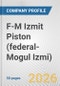 F-M Izmit Piston (federal-Mogul Izmi) Fundamental Company Report Including Financial, SWOT, Competitors and Industry Analysis - Product Thumbnail Image