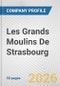 Les Grands Moulins De Strasbourg Fundamental Company Report Including Financial, SWOT, Competitors and Industry Analysis - Product Thumbnail Image