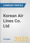 Korean Air Lines Co. Ltd. Fundamental Company Report Including Financial, SWOT, Competitors and Industry Analysis - Product Thumbnail Image