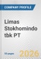 Limas Stokhomindo tbk PT Fundamental Company Report Including Financial, SWOT, Competitors and Industry Analysis - Product Thumbnail Image