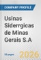 Usinas Siderrgicas de Minas Gerais S.A. Fundamental Company Report Including Financial, SWOT, Competitors and Industry Analysis - Product Thumbnail Image