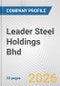 Leader Steel Holdings Bhd Fundamental Company Report Including Financial, SWOT, Competitors and Industry Analysis - Product Thumbnail Image
