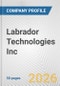 Labrador Technologies Inc. Fundamental Company Report Including Financial, SWOT, Competitors and Industry Analysis - Product Thumbnail Image