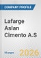 Lafarge Aslan Cimento A.S. Fundamental Company Report Including Financial, SWOT, Competitors and Industry Analysis - Product Thumbnail Image