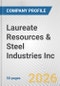 Laureate Resources & Steel Industries Inc. Fundamental Company Report Including Financial, SWOT, Competitors and Industry Analysis - Product Thumbnail Image