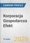 Korporacja Gospodarcza Efekt Fundamental Company Report Including Financial, SWOT, Competitors and Industry Analysis - Product Thumbnail Image