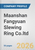 Maanshan Fangyuan Slewing Ring Co.ltd Fundamental Company Report Including Financial, SWOT, Competitors and Industry Analysis- Product Image