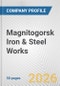 Magnitogorsk Iron & Steel Works Fundamental Company Report Including Financial, SWOT, Competitors and Industry Analysis - Product Thumbnail Image