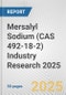 Mersalyl Sodium (CAS 492-18-2) Industry Research 2025: Global and Regional Market Trends 2019-2024 and Forecast to 2029 - Product Image