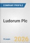 Ludorum Plc Fundamental Company Report Including Financial, SWOT, Competitors and Industry Analysis - Product Thumbnail Image