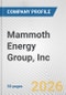 Mammoth Energy Group, Inc. Fundamental Company Report Including Financial, SWOT, Competitors and Industry Analysis - Product Thumbnail Image