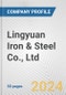 Lingyuan Iron & Steel Co., Ltd. Fundamental Company Report Including Financial, SWOT, Competitors and Industry Analysis - Product Thumbnail Image