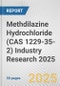 Methdilazine Hydrochloride (CAS 1229-35-2) Industry Research 2025: Global and Regional Market Trends 2019-2024 and Forecast to 2029 - Product Thumbnail Image
