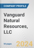Vanguard Natural Resources, LLC Fundamental Company Report Including Financial, SWOT, Competitors and Industry Analysis- Product Image