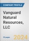 Vanguard Natural Resources, LLC Fundamental Company Report Including Financial, SWOT, Competitors and Industry Analysis - Product Thumbnail Image