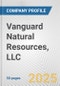 Vanguard Natural Resources, LLC Fundamental Company Report Including Financial, SWOT, Competitors and Industry Analysis - Product Thumbnail Image