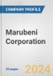 Marubeni Corporation Fundamental Company Report Including Financial, SWOT, Competitors and Industry Analysis - Product Thumbnail Image