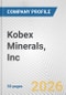 Kobex Minerals, Inc. Fundamental Company Report Including Financial, SWOT, Competitors and Industry Analysis - Product Thumbnail Image