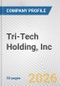 Tri-Tech Holding, Inc. Fundamental Company Report Including Financial, SWOT, Competitors and Industry Analysis - Product Thumbnail Image