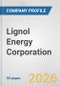 Lignol Energy Corporation Fundamental Company Report Including Financial, SWOT, Competitors and Industry Analysis - Product Thumbnail Image