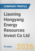Liaoning Hongyang Energy Resources Invest Co Ltd. Fundamental Company Report Including Financial, SWOT, Competitors and Industry Analysis- Product Image