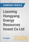 Liaoning Hongyang Energy Resources Invest Co Ltd. Fundamental Company Report Including Financial, SWOT, Competitors and Industry Analysis - Product Thumbnail Image