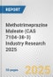 Methotrimeprazine Maleate (CAS 7104-38-3) Industry Research 2025: Global and Regional Market Trends 2019-2024 and Forecast to 2029 - Product Image