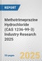 Methotrimeprazine Hydrochloride (CAS 1236-99-3) Industry Research 2025: Global and Regional Market Trends 2019-2024 and Forecast to 2029 - Product Image