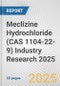 Meclizine Hydrochloride (CAS 1104-22-9) Industry Research 2025: Global and Regional Market Trends 2019-2024 and Forecast to 2029 - Product Image