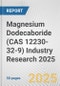 Magnesium Dodecaboride (CAS 12230-32-9) Industry Research 2025: Global and Regional Market Trends 2019-2024 and Forecast to 2029 - Product Image