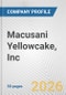 Macusani Yellowcake, Inc. Fundamental Company Report Including Financial, SWOT, Competitors and Industry Analysis - Product Thumbnail Image