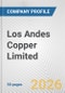 Los Andes Copper Limited Fundamental Company Report Including Financial, SWOT, Competitors and Industry Analysis - Product Thumbnail Image