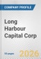 Long Harbour Capital Corp. Fundamental Company Report Including Financial, SWOT, Competitors and Industry Analysis - Product Thumbnail Image