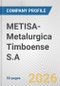 METISA-Metalurgica Timboense S.A. Fundamental Company Report Including Financial, SWOT, Competitors and Industry Analysis - Product Thumbnail Image