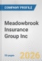 Meadowbrook Insurance Group Inc. Fundamental Company Report Including Financial, SWOT, Competitors and Industry Analysis - Product Thumbnail Image